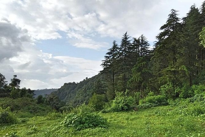 Chhaskhet Nature Walk - Good To Know
