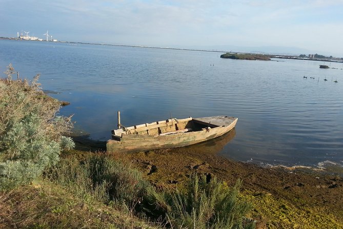Chia Beaches Tour From Cagliari - Good To Know