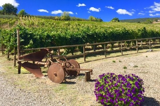 Chianti Wine and Vinci Half Day Small Group Tour From Montecatini Terme - Good To Know