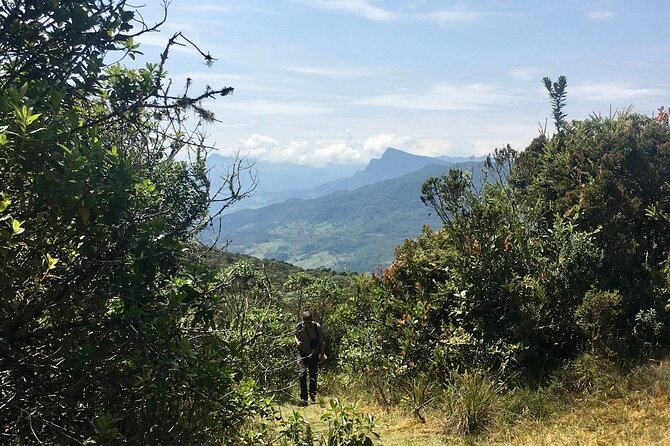 Chingaza, the Mountain of Water: Tour From Bogota - Good To Know