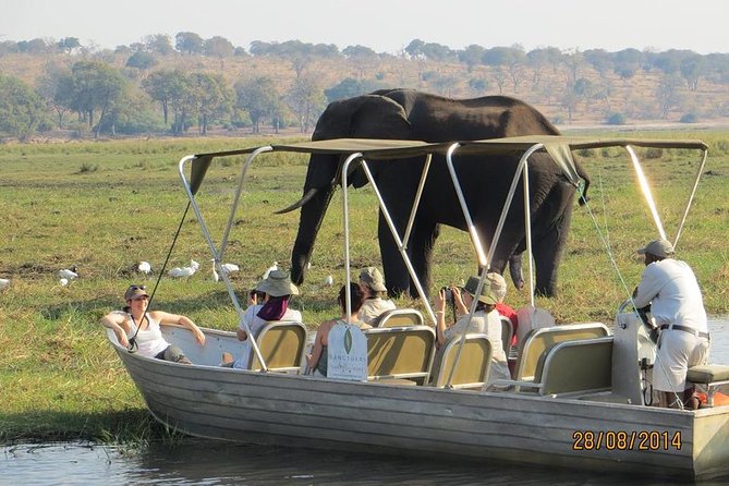 Chobe Day Trip From Victoria Falls Zimbabwe - Good To Know