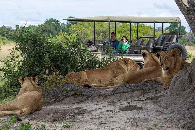Chobe Full Day Trip From Victoria Falls - Good To Know