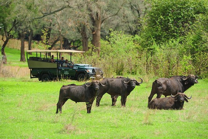 Chobe Full Day Trip - Good To Know