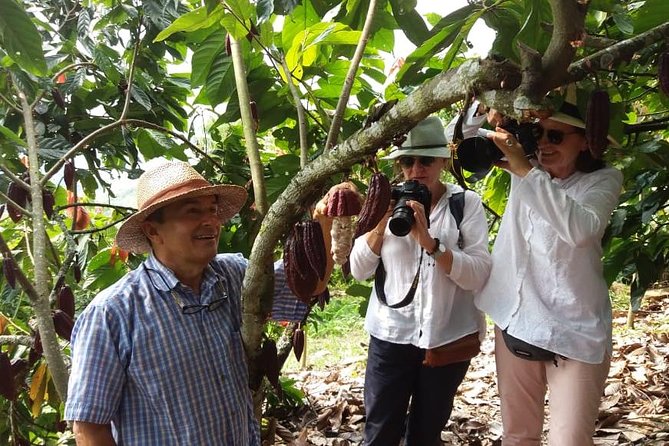 Chocolate Tour and Tropical Fruits - Good To Know