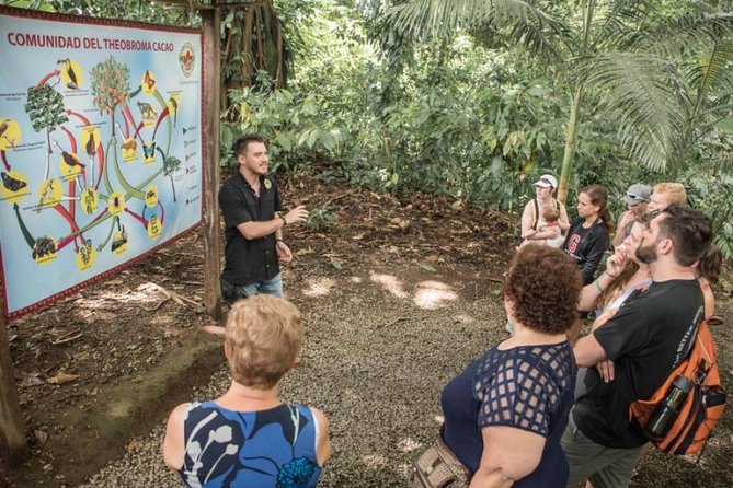 Chocolate Tour & Baldi Hot Springs. Private Tour From San Jose - Highlights of the Experience
