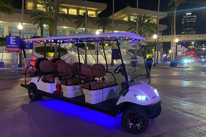 Christmas Lights Wonderland Deluxe Golf Cart Guided Tour in Tampa - Good To Know