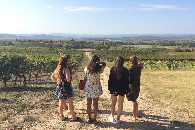 Cité De Carcassonne and Wine Tasting Private Day Tour From Toulouse - Good To Know