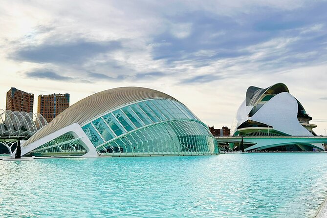 City of Arts & Sciences Tour With Rooftop Tapas & Wine - Good To Know