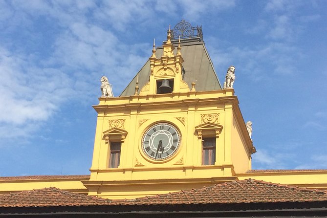 City Tour in Santos - History, Traditions and Culture - Good To Know