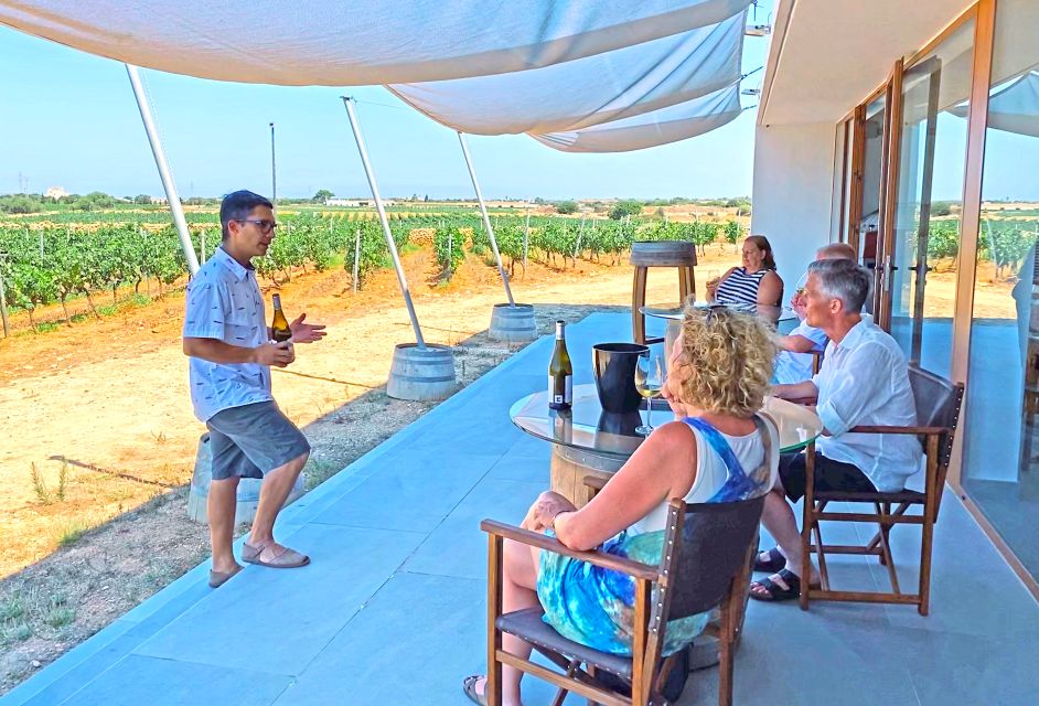 Ciutadella De Menorca: Family Winery Tour With Wine Tasting - Good To Know