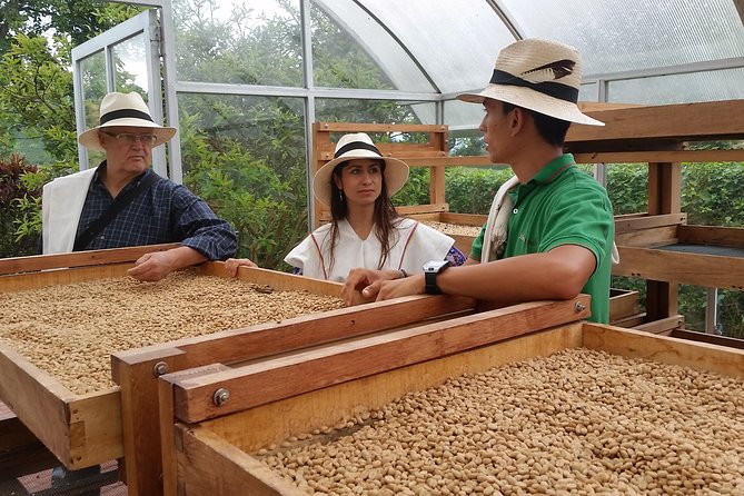 Coffee and Culture in Santa Rosa De Cabal - Overview of the Coffee Tour