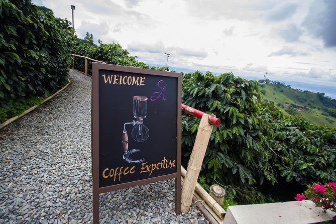 Coffee Farm Experience at Hacienda San Alberto From Salento - Good To Know