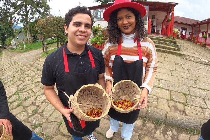 Coffee Farm - Group Tour and Daily Departure - About Your Stay