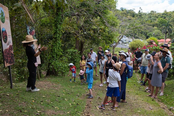 Coffee Lovers Tour in Puerto Rico - Included and Additional Costs
