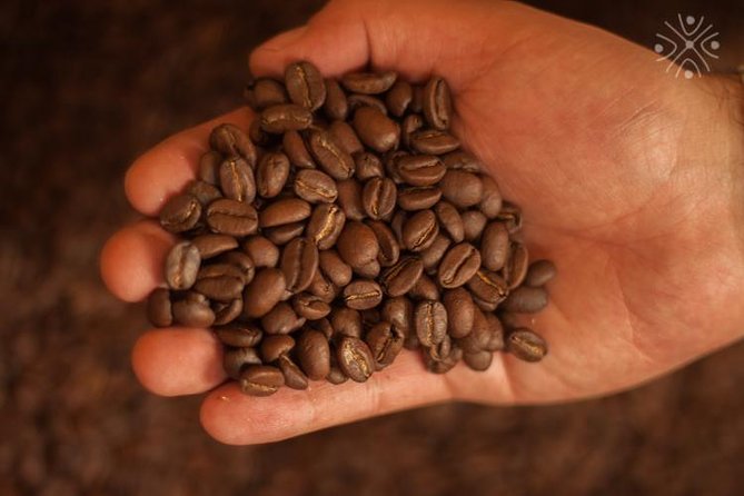 Coffee Paradise at El Paraiso - Experience From Bogota - About Your Stay