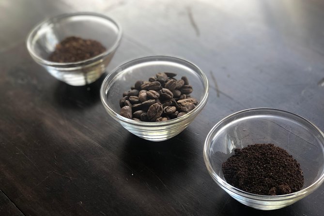 Coffee Tour, a Coffee Between Mountains - Medellín - Good To Know