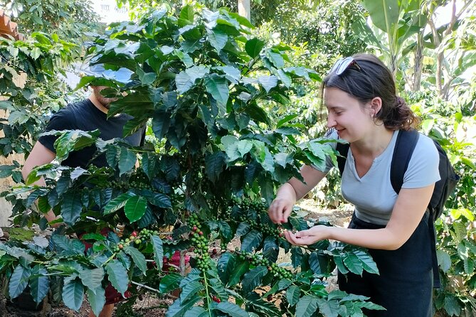 Coffee Tour in Lake Atitlán - Good To Know