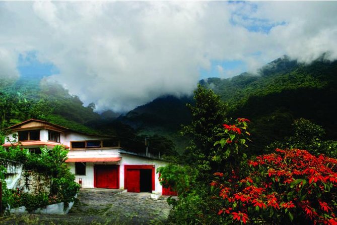 Coffee Tour La Victoria and Waterfalls in Minca - Private Tour - Good To Know