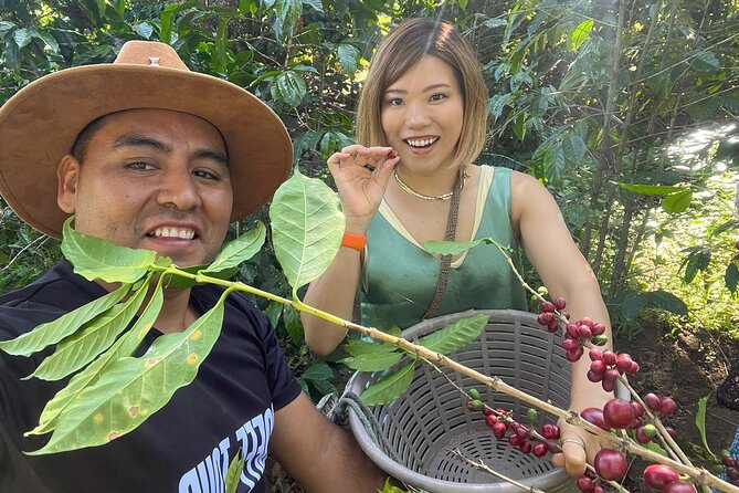 Coffee Tour Near the Agua Volcano With Tasting - About Your Stay