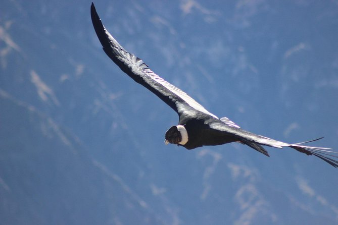 Colca Canyon – 2 Days / 1 Night - Good To Know