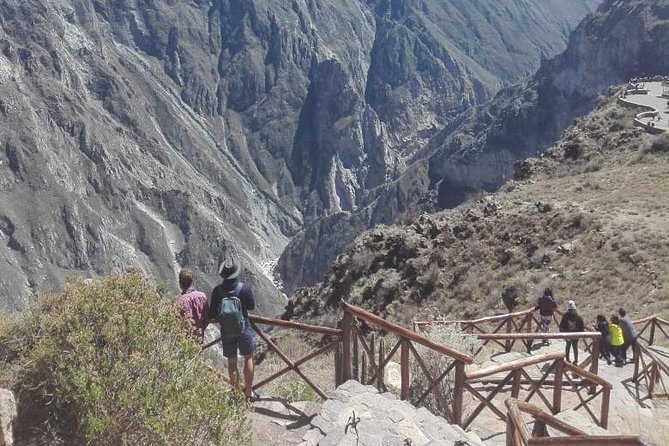 Colca Canyon Sightseeing Tour 2D1N and Transfer to Puno