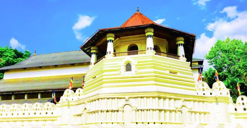 Colombo: 8-Day Private Cultural Triangle & Wildlife Trip - Good To Know