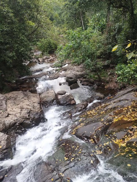 Colombo: Day Trip; Seethawaka Wet Zone Botanical Gardens - Good To Know