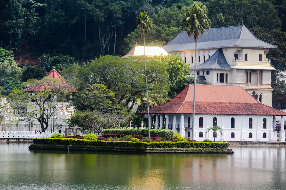 Colombo or Negombo: Temple of the Tooth Kandy Day Trip - Good To Know