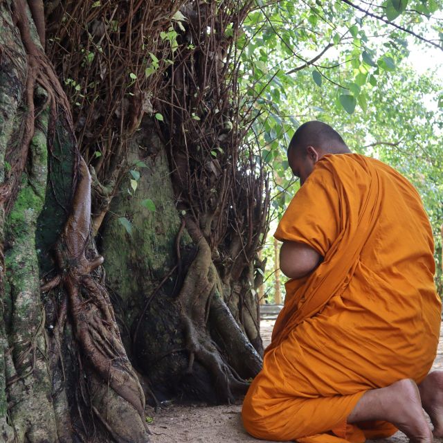 Colombo Port Shore Excursions Colombo City & Kalaniya Temple - Good To Know