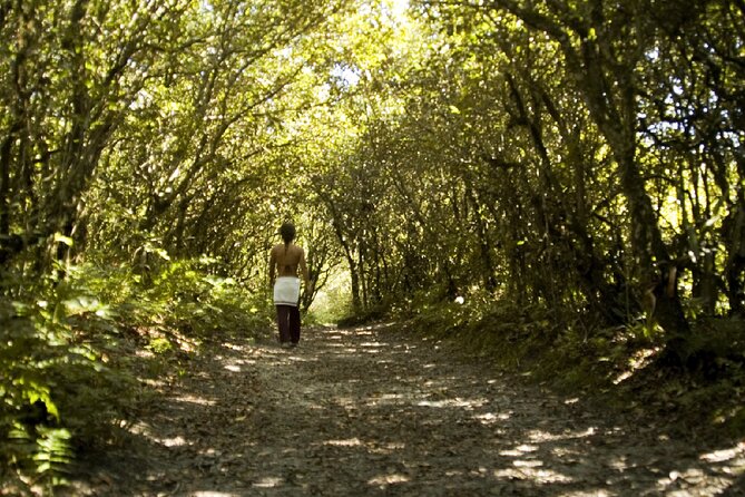 Complete Tour to Honey Island - About Your Stay