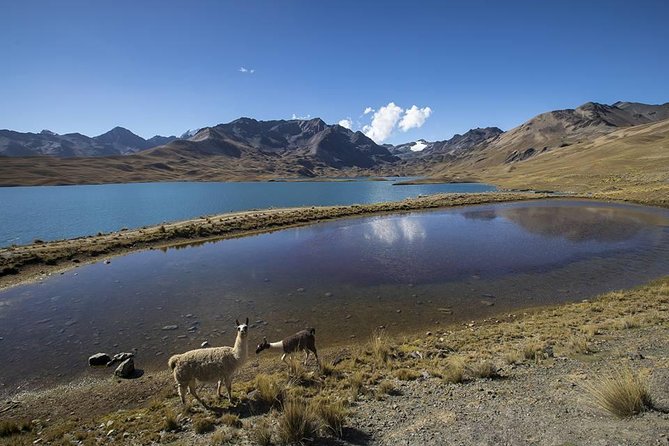 CONDORIRI Mountain Range and Lagoons Full Day Trekking. Spanish Guide. - About Your Stay