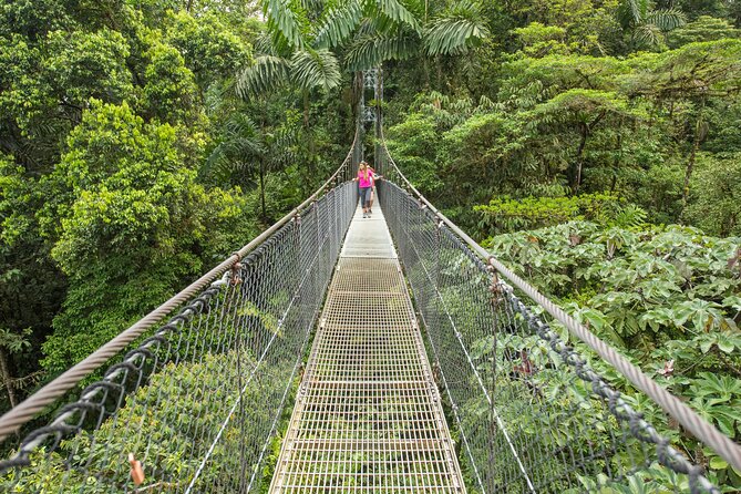 Congo Combo (Hanging Bridges and Zipline Adventure) - Good To Know