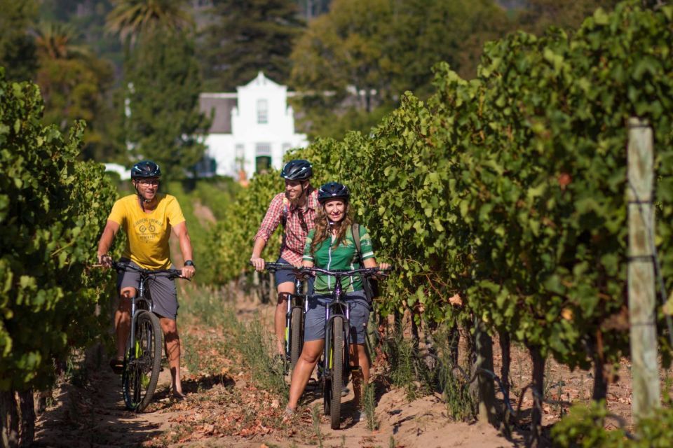 Constantia Wine Valley Bicycle Tour - Exploring the Groot Constantia Estate