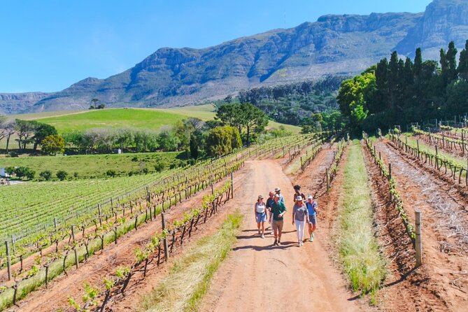 Constantia Wine Walk Storytelling Vineyard Tour With Lunch - Good To Know