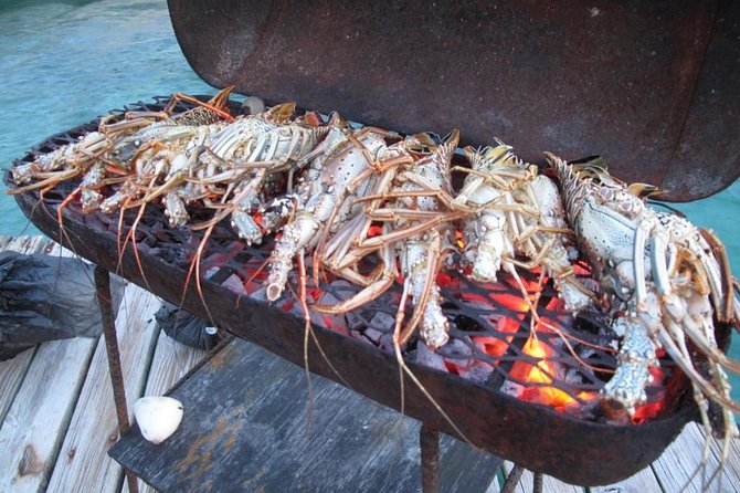 Cook Your Catch-Private Island Picnic - Good To Know