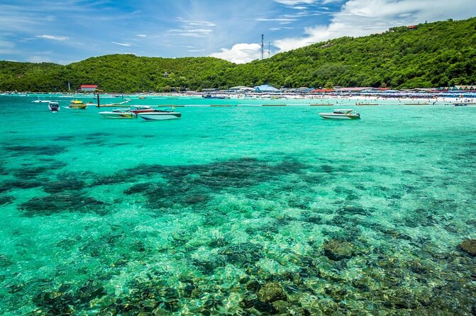 Coral Island Pattaya: Indian Lunch, Transfer, Hindi Staff (India Travelers +Ar) - Good To Know