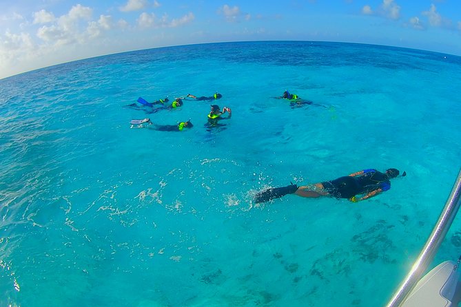 Coral Reef Private Snorkel Tour Out to John Pennekamp Coral Reef State Park - Good To Know