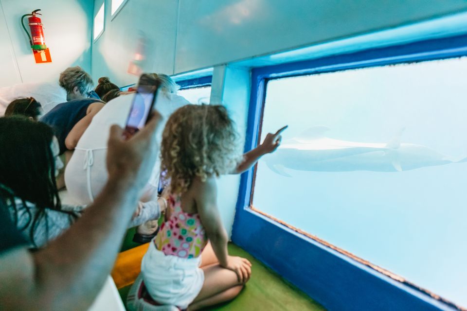 Costa Adeje: Whale & Dolphin Submarine Vision Mini Cruise - Good To Know