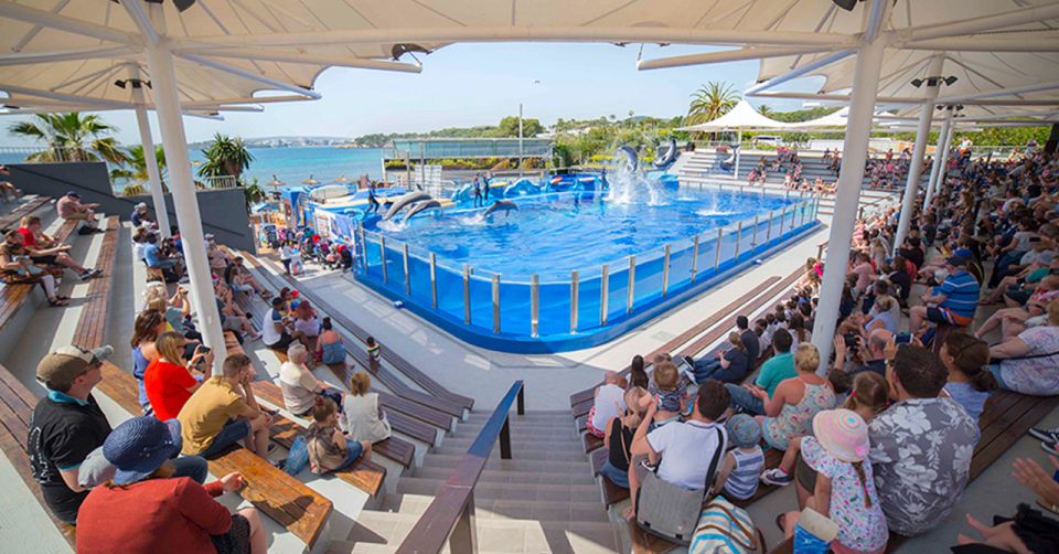 Costa Den Blanes: Entry Ticket for Marineland Mallorca - Good To Know