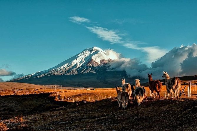 Cotopaxi Hike & Horse - Good To Know