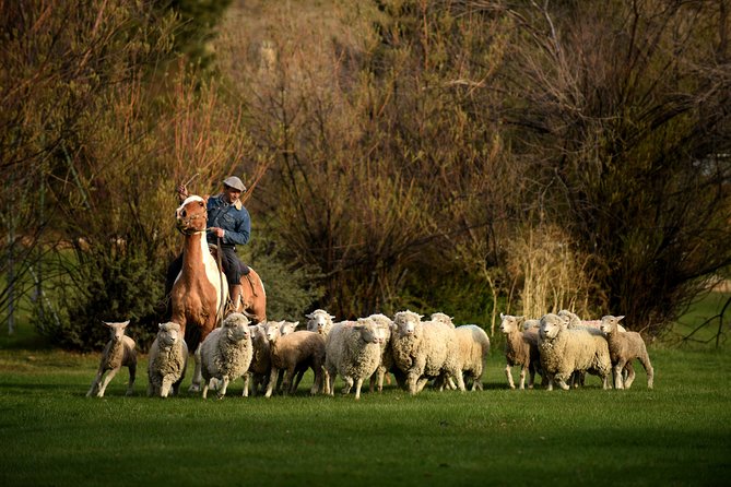 Country Afternoon With Dinner Show - Estancia 25 De Mayo - Ratings and Reviews