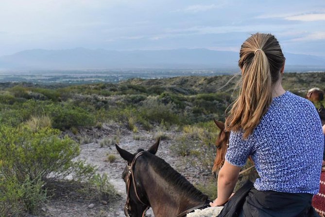 Criolla Horseback Riding - Good To Know