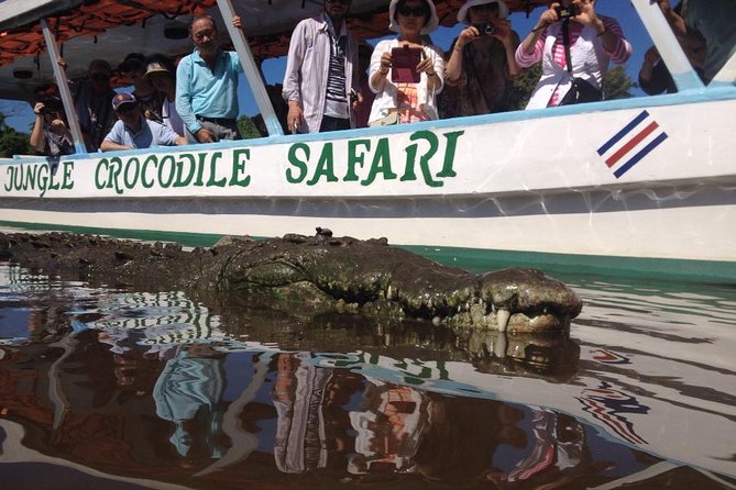 Crocodile Safari - Tarcoles River - Good To Know