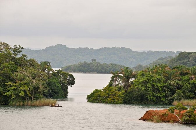 Cruise Shore Excursion Panama: Wildlife Gatun Lake - Good To Know