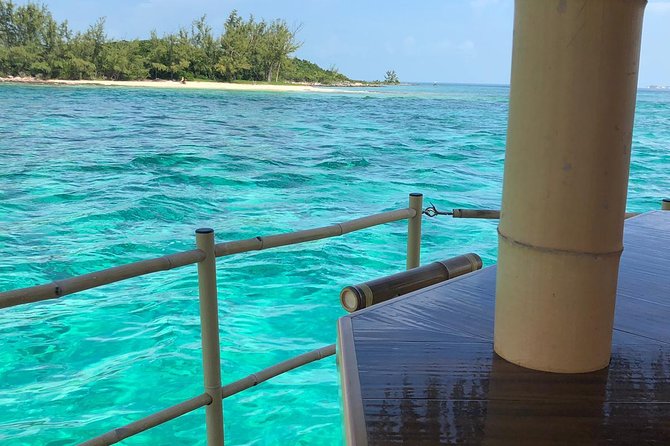 Cruisin Tiki Swimmin Pigs Booze Crooze Lunch+All U Can Drink Bar - Overview and Experience