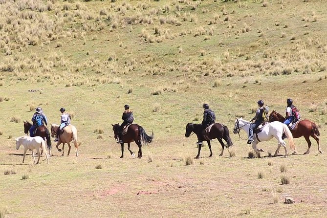 Cusco Day Tour Horse Riding Mystic Tour Full Service The Most Recommended - Tour Overview