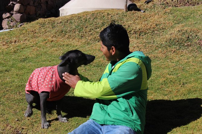 Cusco Sanctuary for Rescued Animals: Cochahuasi - Location and Accessibility