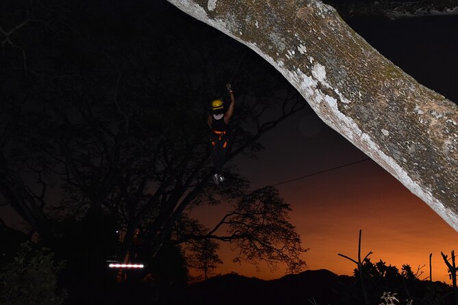 Customizable Zipline Adventure