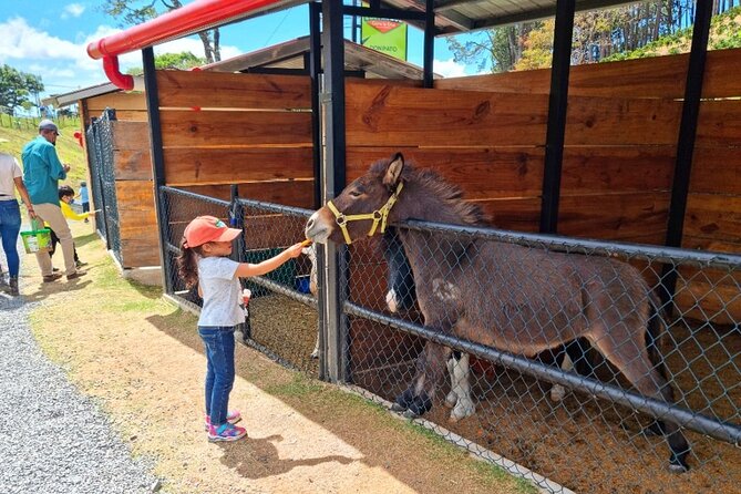 Daily Pass to Eco Park of Cerro La Cruz in Boquete - Good To Know