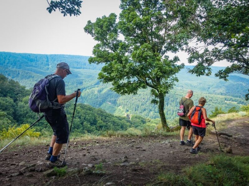 Danube Bend: Full-Day Hiking Tour From Budapest - Good To Know